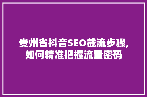 贵州省抖音SEO截流步骤,如何精准把握流量密码