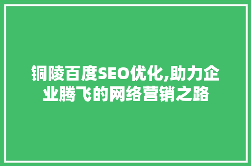 铜陵百度SEO优化,助力企业腾飞的网络营销之路