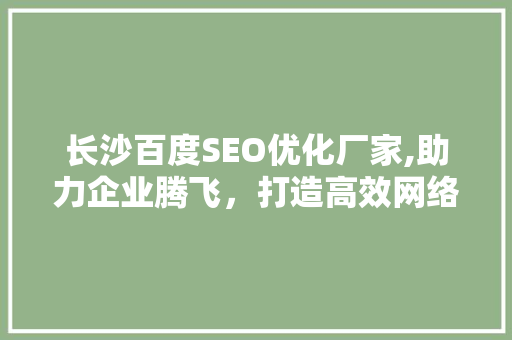 长沙百度SEO优化厂家,助力企业腾飞，打造高效网络营销步骤  第1张