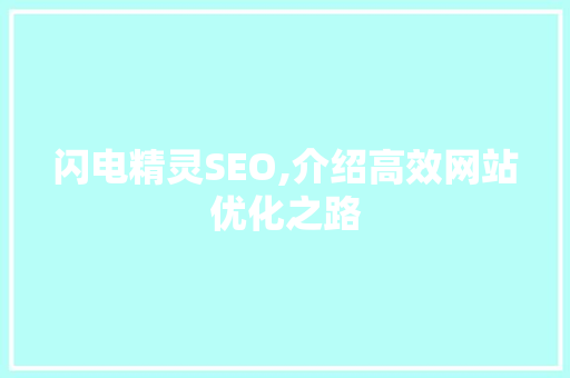 闪电精灵SEO,介绍高效网站优化之路