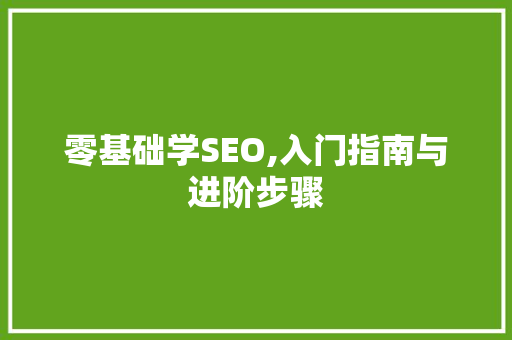 零基础学SEO,入门指南与进阶步骤
