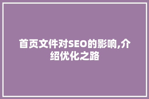 首页文件对SEO的影响,介绍优化之路