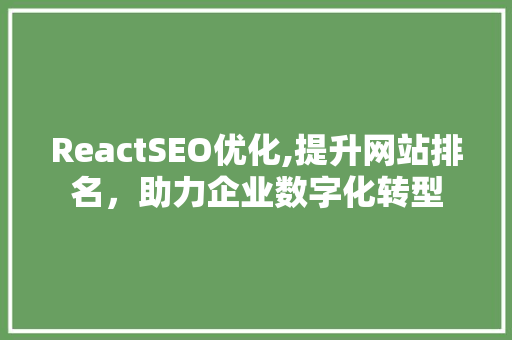 ReactSEO优化,提升网站排名，助力企业数字化转型