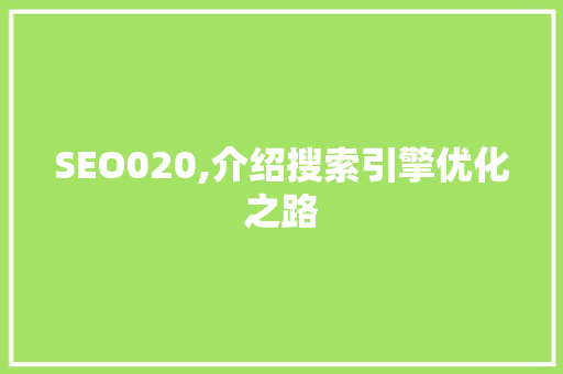 SEO020,介绍搜索引擎优化之路