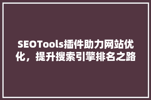 SEOTools插件助力网站优化，提升搜索引擎排名之路