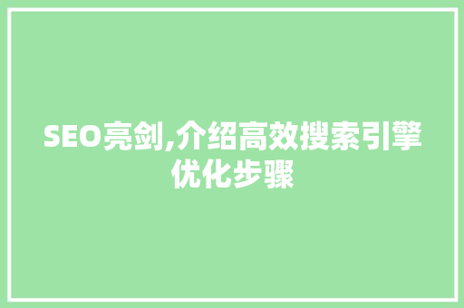 SEO亮剑,介绍高效搜索引擎优化步骤  第1张