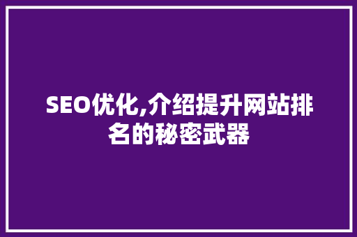 SEO优化,介绍提升网站排名的秘密武器