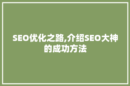 SEO优化之路,介绍SEO大神的成功方法