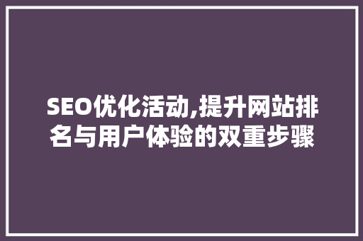 SEO优化活动,提升网站排名与用户体验的双重步骤