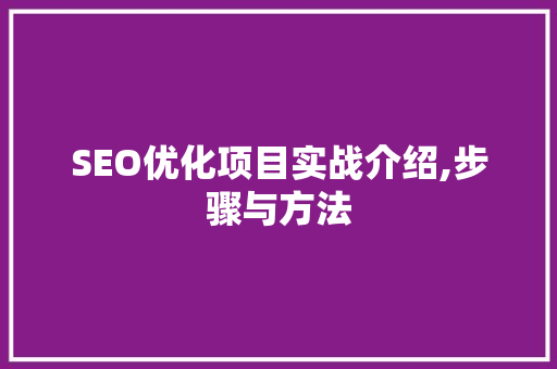 SEO优化项目实战介绍,步骤与方法