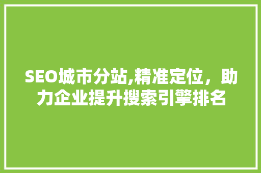 SEO城市分站,精准定位，助力企业提升搜索引擎排名