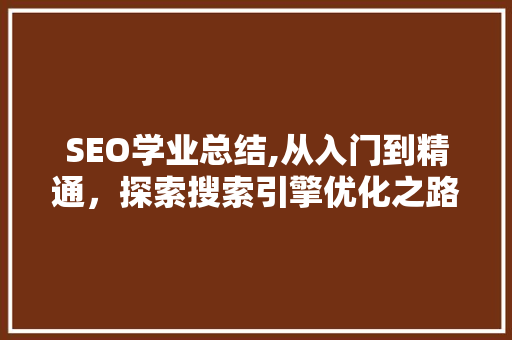 SEO学业总结,从入门到精通，探索搜索引擎优化之路