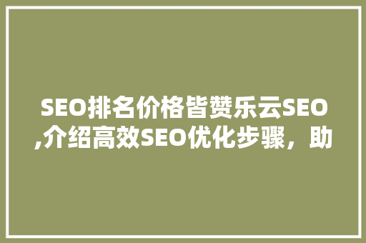 SEO排名价格皆赞乐云SEO,介绍高效SEO优化步骤，助力企业提升网络影响力