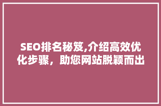 SEO排名秘笈,介绍高效优化步骤，助您网站脱颖而出