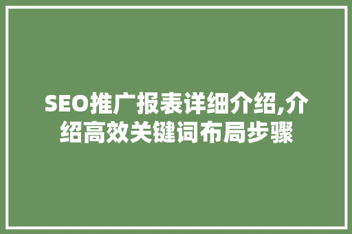 SEO推广报表详细介绍,介绍高效关键词布局步骤