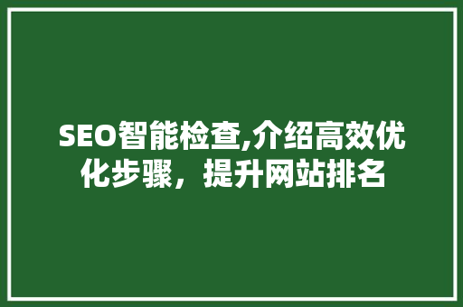 SEO智能检查,介绍高效优化步骤，提升网站排名