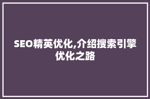 SEO精英优化,介绍搜索引擎优化之路