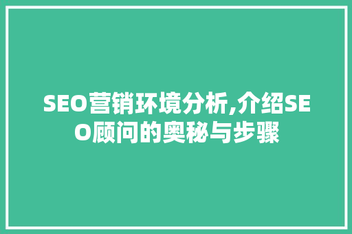 SEO营销环境分析,介绍SEO顾问的奥秘与步骤