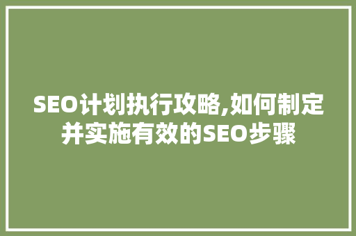 SEO计划执行攻略,如何制定并实施有效的SEO步骤