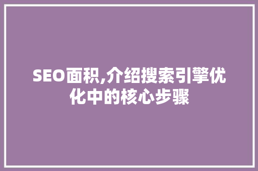 SEO面积,介绍搜索引擎优化中的核心步骤