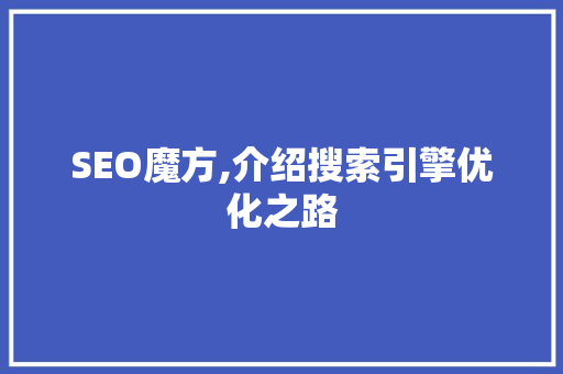 SEO魔方,介绍搜索引擎优化之路