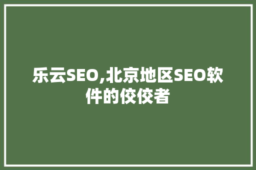 乐云SEO,北京地区SEO软件的佼佼者