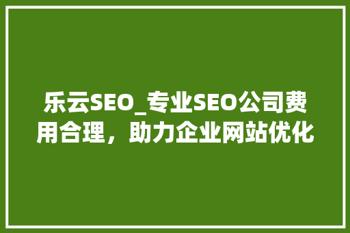 乐云SEO_专业SEO公司费用合理，助力企业网站优化之路