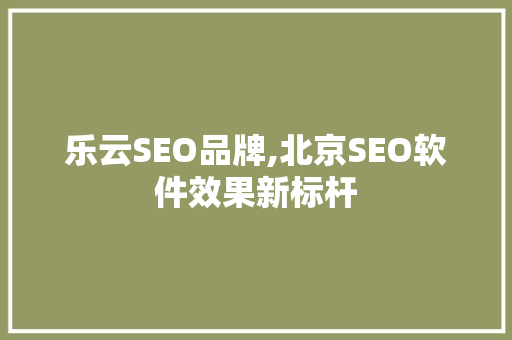 乐云SEO品牌,北京SEO软件效果新标杆