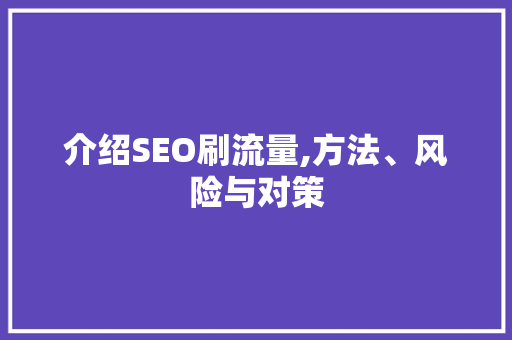 介绍SEO刷流量,方法、风险与对策