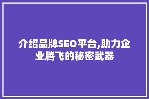 介绍品牌SEO平台,助力企业腾飞的秘密武器