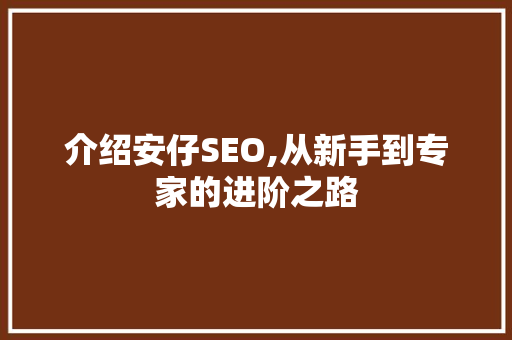 介绍安仔SEO,从新手到专家的进阶之路