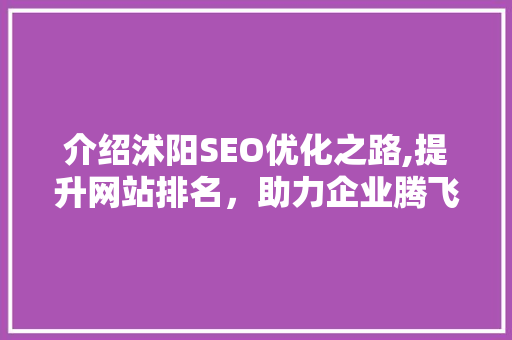 介绍沭阳SEO优化之路,提升网站排名，助力企业腾飞