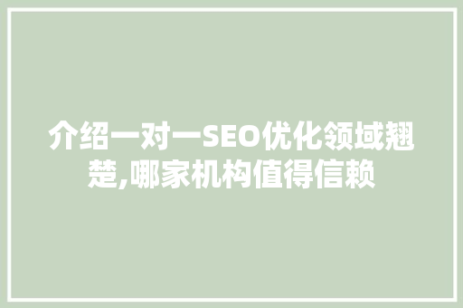 介绍一对一SEO优化领域翘楚,哪家机构值得信赖