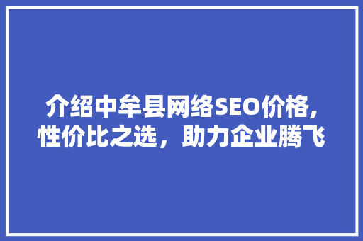 介绍中牟县网络SEO价格,性价比之选，助力企业腾飞