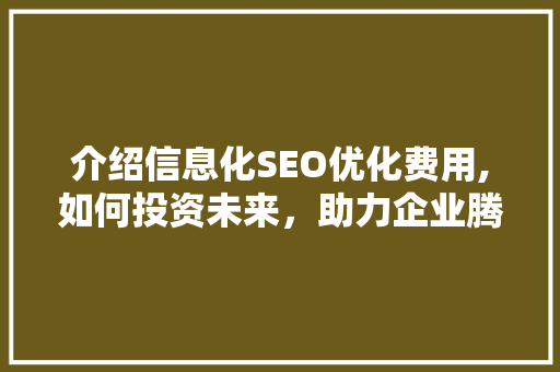 介绍信息化SEO优化费用,如何投资未来，助力企业腾飞