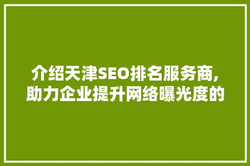 介绍天津SEO排名服务商,助力企业提升网络曝光度的秘密武器