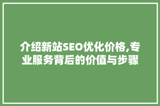 介绍新站SEO优化价格,专业服务背后的价值与步骤