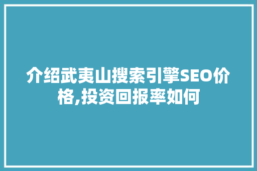 介绍武夷山搜索引擎SEO价格,投资回报率如何  第1张