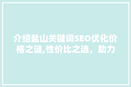 介绍盐山关键词SEO优化价格之谜,性价比之选，助力企业腾飞