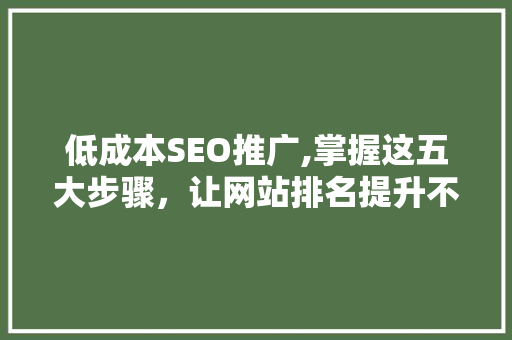 低成本SEO推广,掌握这五大步骤，让网站排名提升不止一个档次！