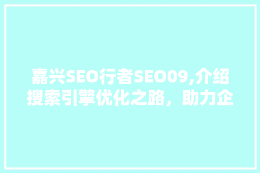 嘉兴SEO行者SEO09,介绍搜索引擎优化之路，助力企业网站脱颖而出