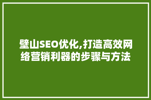壁山SEO优化,打造高效网络营销利器的步骤与方法