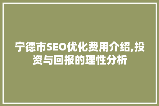 宁德市SEO优化费用介绍,投资与回报的理性分析