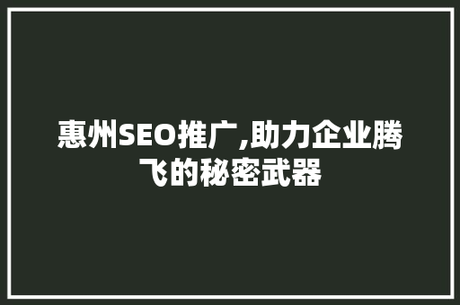 惠州SEO推广,助力企业腾飞的秘密武器