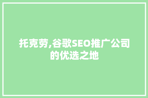 托克劳,谷歌SEO推广公司的优选之地