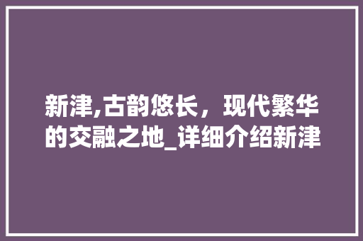 新津,古韵悠长，现代繁华的交融之地_详细介绍新津SEO推广步骤