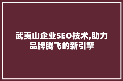武夷山企业SEO技术,助力品牌腾飞的新引擎