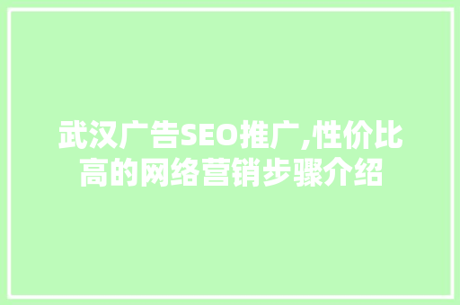 武汉广告SEO推广,性价比高的网络营销步骤介绍