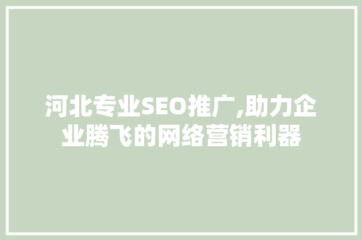 河北专业SEO推广,助力企业腾飞的网络营销利器