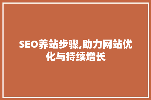 SEO养站步骤,助力网站优化与持续增长